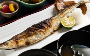 Ăn cá nào tốt nhất cho sức khỏe?