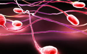 Xuất hiện máu trong tinh dịch liệu có nguy hiểm?