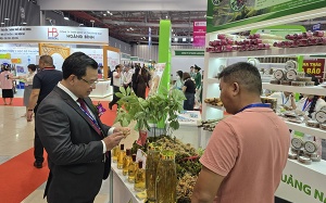 Phát triển y dược học cổ truyền theo hướng chuyên sâu