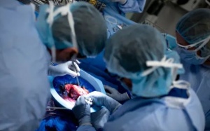 Mỹ: Bệnh nhân HIV được hiến tạng cho người đồng nhiễm 