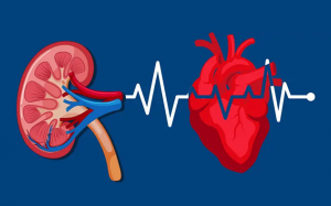 Ngăn ngừa biến chứng suy tim do suy thận 