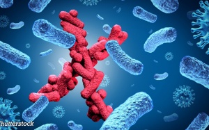 143 người tử vong do bệnh lạ ở CHDC Congo, WHO vào cuộc