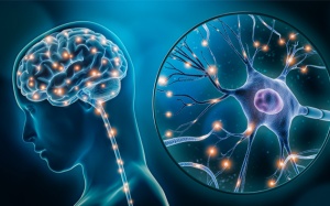 Biến chứng thần kinh tự chủ đái tháo đường: Phát hiện muộn gây rủi ro gì?