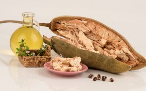 Dưỡng da và tóc mùa Đông không nên bỏ qua dầu baobab