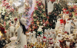 Phố Hàng Mã lung linh sắc màu dịp Giáng sinh