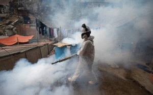 Sốt xuất huyết tăng kỷ lục tại Châu Mỹ, 7.700 ca tử vong trong năm 2024