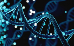 Phụ nữ dễ sảy thai có thể do gene di truyền?