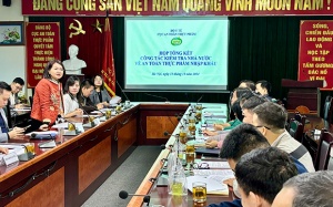 Thực phẩm nhập khẩu: Cắt giảm hơn 50% dòng hàng phải kiểm tra trước thông quan