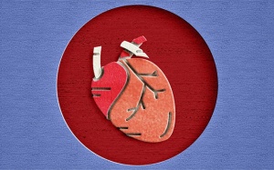 Một vài thắc mắc thường gặp về hở van 3 lá