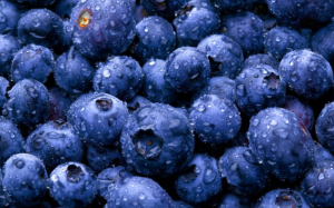 Tác dụng của quả việt quất với người bệnh thận 