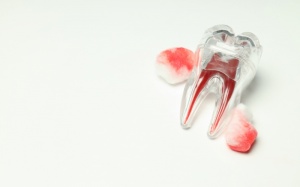 Chảy máu chân răng có nguy hiểm không?