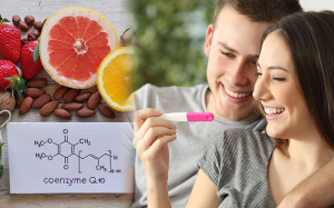 Lợi ích của CoQ10 với các cặp đôi hiếm muộn