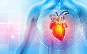 Những ai có nguy cơ cao, dễ bị nhồi máu cơ tim?