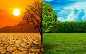 Kỷ lục nhiệt độ toàn cầu trong năm 2024