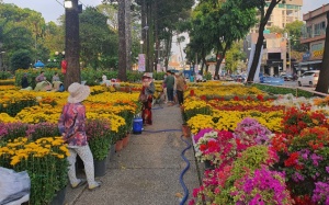 Tết Ất Tỵ 2025 chưng hoa gì để rước tài lộc và may mắn?