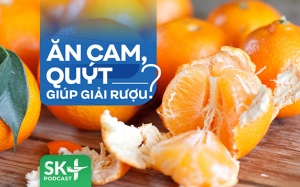 Podcast: Ăn cam, quýt có giúp giải rượu?