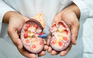 Suy thận độ 2 có nguy hiểm không?