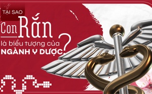 Tại sao con rắn là biểu tượng của ngành y dược?