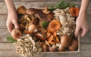 Nấm có trữ đông được không?