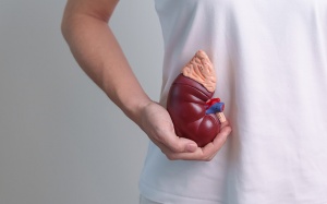 Bạn có thể sống lâu với một quả thận không?