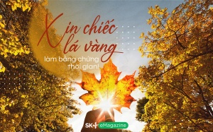 Xin chiếc lá vàng làm bằng chứng thời gian!