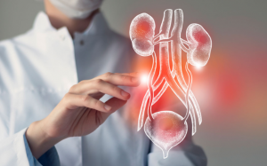 Không nên ăn gì khi mắc viêm đường tiết niệu?