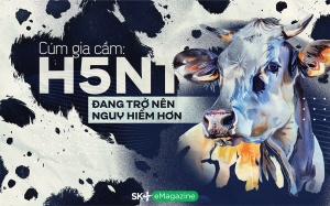 Cúm gia cầm: H5N1 đang trở nên nguy hiểm hơn