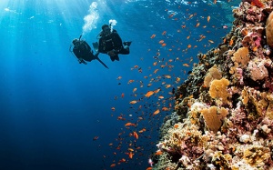 7 trải nghiệm lặn biển tuyệt vời nhất thế giới
