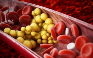 Mỡ máu cao có di truyền hay không? 