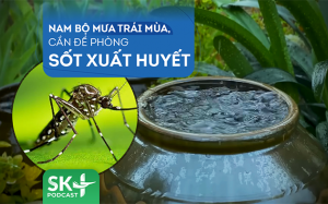 Podcast: Nam Bộ mưa trái mùa, cần đề phòng sốt xuất huyết