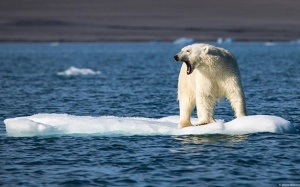 La Niña không còn đủ sức hạ nhiệt, Trái Đất tiếp tục nóng kỷ lục
