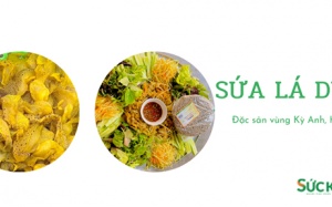 Sứa lá dung vào mùa!