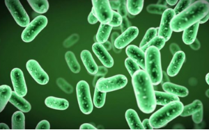 Nên dùng thực phẩm bổ sung probiotics thế nào cho đúng