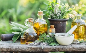 8 thảo dược kích thích mọc tóc