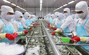 Quy định mới về cấp giấy chứng nhận đối với thực phẩm xuất khẩu