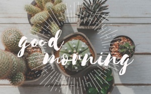 Tử vi thứ Bảy (15/3/2025): Thiên Bình sẽ có ngày mới tích cực