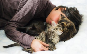 Vì sao mèo cưng lại thích ngủ trên mặt của “sen”?