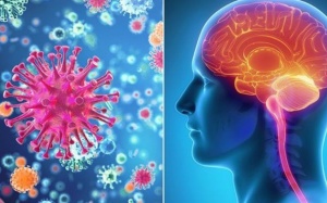 WHO ban hành hướng dẫn toàn cầu về bệnh viêm màng não