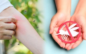 Bộ Y tế cảnh báo sốt xuất huyết bắt đầu vào mùa