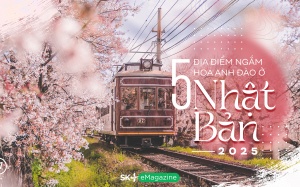 5 địa điểm ngắm hoa anh đào ở Nhật Bản năm 2025