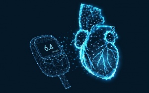 Làm sao phòng ngừa biến chứng tim mạch do bệnh đái tháo đường?