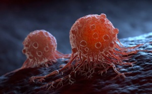 Phát hiện khả năng trị ung thư từ một loại thuốc tẩy giun