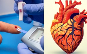 Bị xơ vữa động mạch vành kèm đái tháo đường: Nên ăn gì mới tốt? 