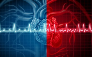 Block nhĩ thất có nguy hiểm không?