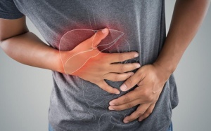 Sau cắt túi mật có dùng TPBVSK Kim Đởm Khang được không?