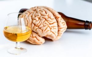 Uống nhiều đồ uống có cồn có thể làm tăng nguy cơ tổn thương não bộ