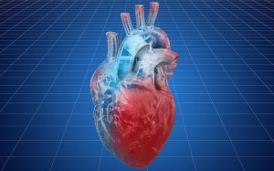 Rối loạn nhịp tim: Bạn cần biết gì để điều trị bệnh hiệu quả?
