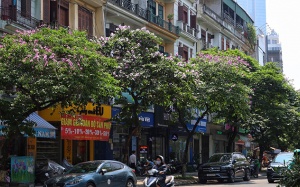 Miền Bắc nắng trở lại, Trung Bộ và Nam Bộ mưa to cục bộ