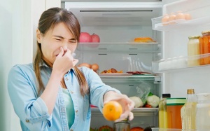 Đừng để tủ lạnh thành ổ chứa vi khuẩn
