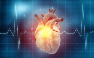 Tại sao ngày càng nhiều người mắc bệnh rung nhĩ?